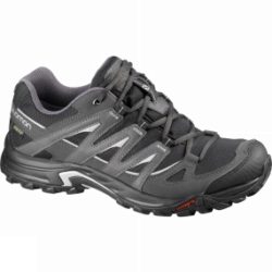 Mens Eskape GTX Shoe